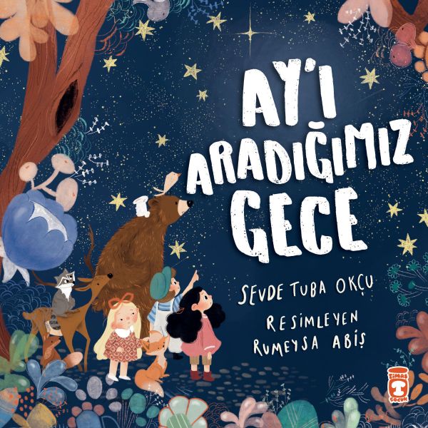 Ay’ı Aradığımız Gece Ay’ı Aradığımız Gece