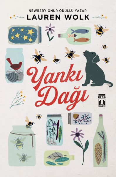 Yankı Dağı Yankı Dağı