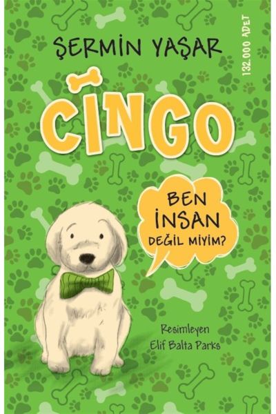 Cingo Cingo