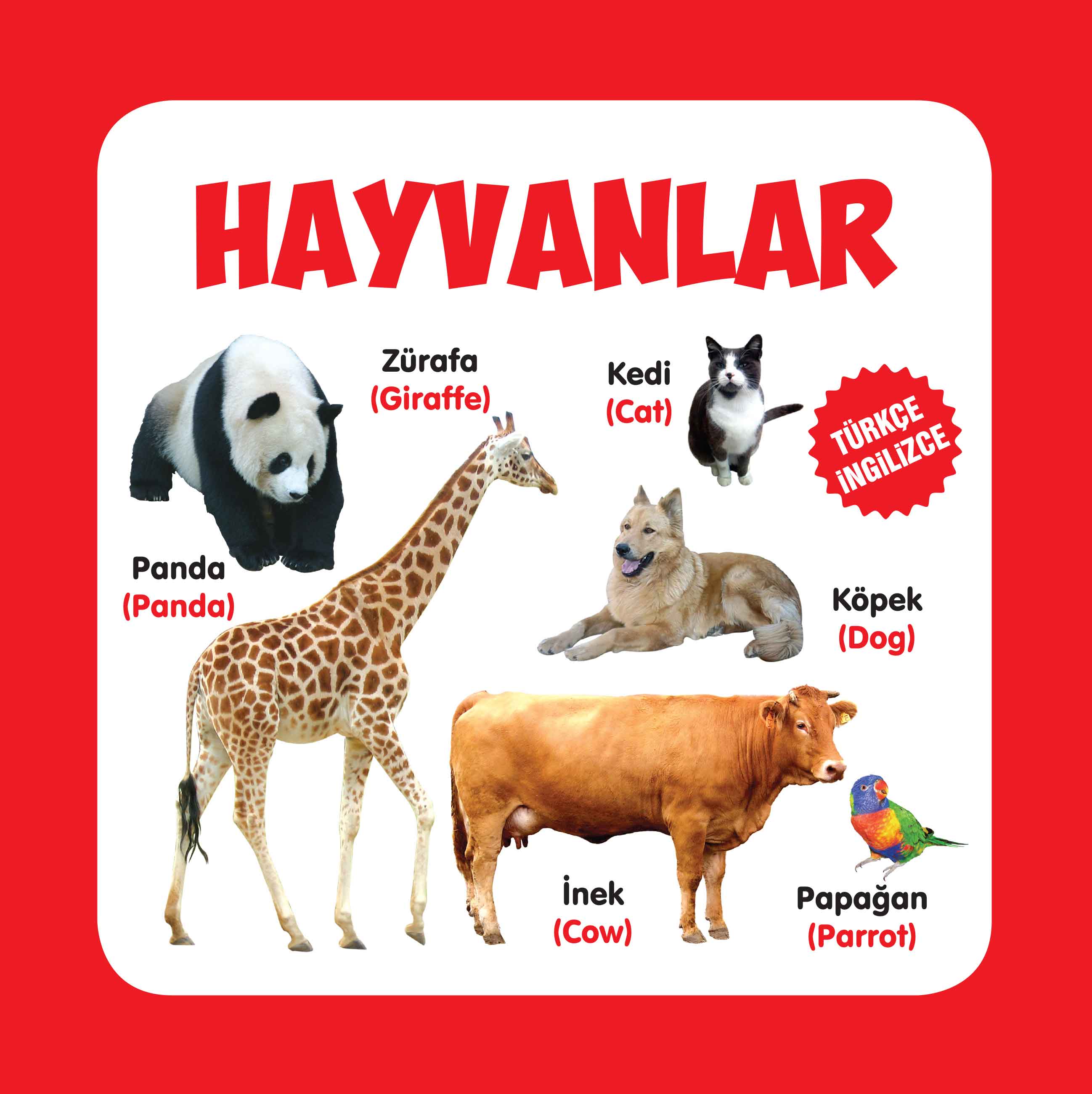 Hayvanlar Türkçe-İngilizce Hayvanlar Türkçe-İngilizce