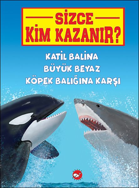 Sizce Kim Kazanır? Katil Balina Büyük Beyaz Köpek Balığına Karşı Sizce Kim Kazanır? Katil Balina Büyük Beyaz Köpek Balığına Karşı