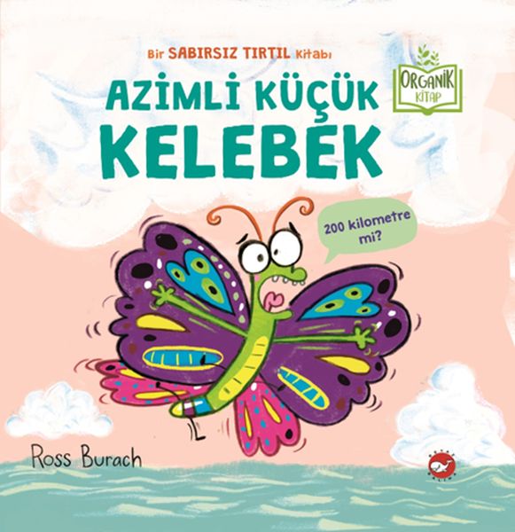 Azimli Küçük Kelebek Azimli Küçük Kelebek