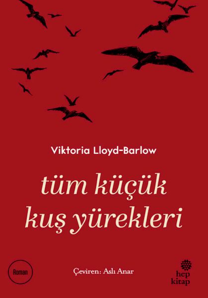 Tüm Küçük Kuş Yürekleri Tüm Küçük Kuş Yürekleri