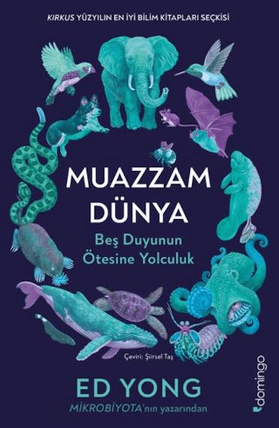 Muazzam Dünya Beş Duyunun Ötesine Yolculuk Muazzam Dünya Beş Duyunun Ötesine Yolculuk