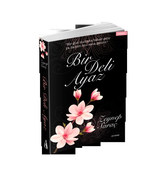 Bir Deli Ayaz Bir Deli Ayaz