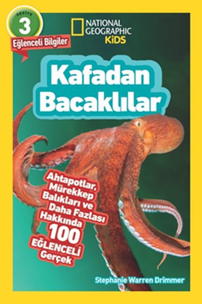 Kafadan Bacaklılar Kafadan Bacaklılar