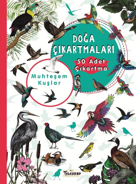 Muhteşem Kuşlar - Doğa Çıkartmaları Muhteşem Kuşlar - Doğa Çıkartmaları