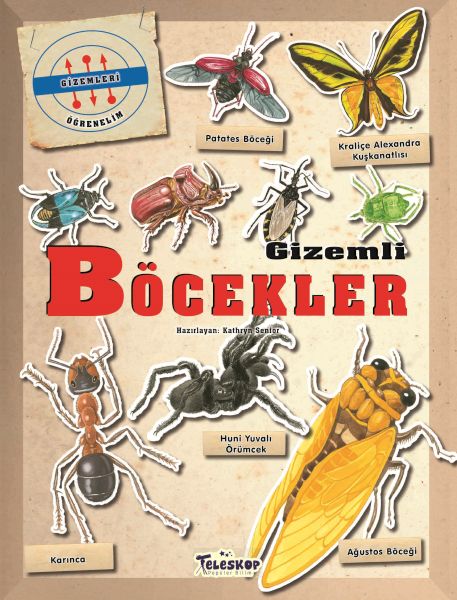 Gizemleri Öğrenelim - Gizemli Böcekler Gizemleri Öğrenelim - Gizemli Böcekler