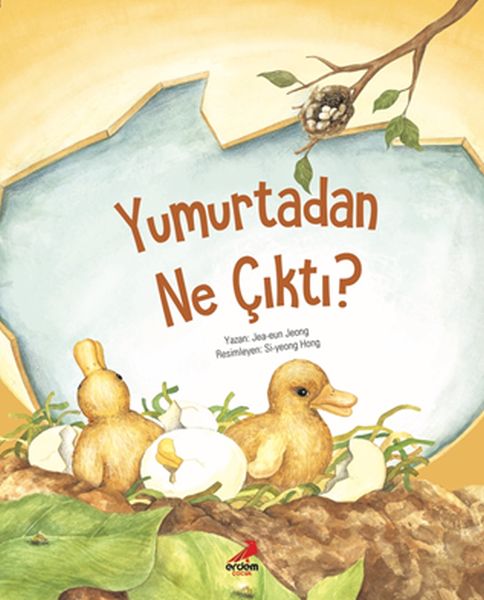 Yumurtadan Ne Çıktı? Yumurtadan Ne Çıktı?