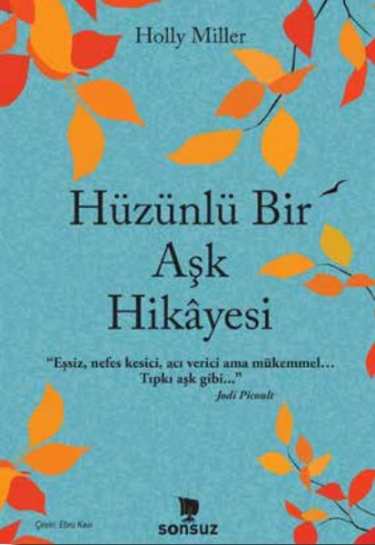 Hüzünlü Bir Aşk Hikâyesi Hüzünlü Bir Aşk Hikâyesi