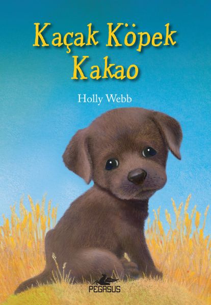 Kaçak Köpek Kakao Kaçak Köpek Kakao