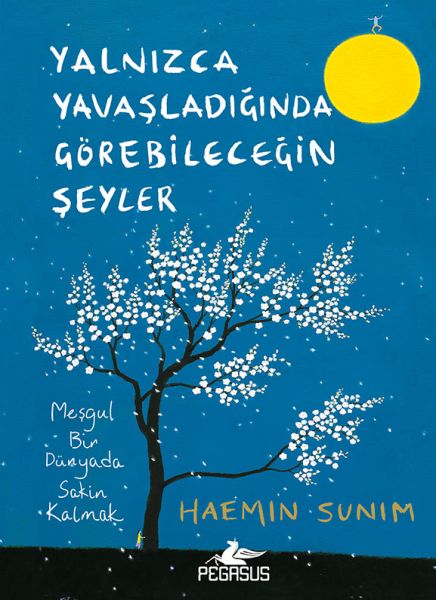 Yalnızca Yavaşladığında Görebileceğin Şeyler (Ciltli) Yalnızca Yavaşladığında Görebileceğin Şeyler (Ciltli)