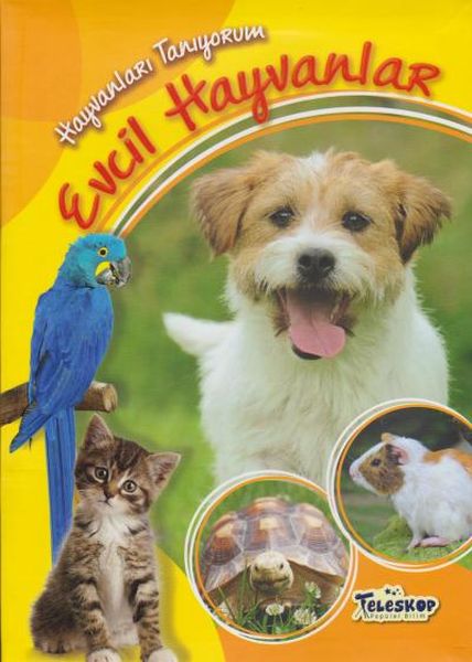 Hayvanları Tanıyorum Evcil Hayvanlar Hayvanları Tanıyorum Evcil Hayvanlar