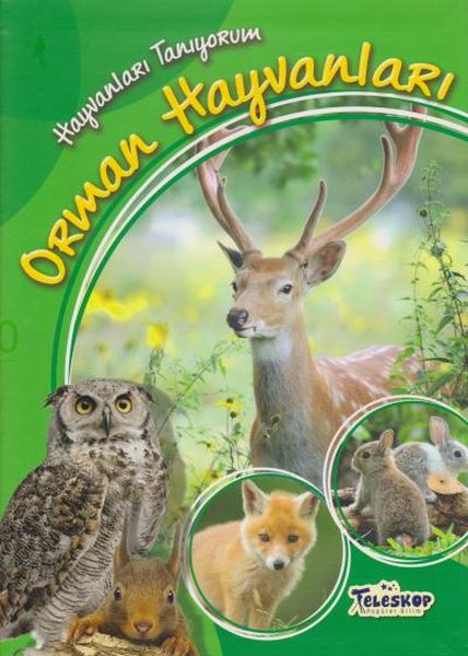 Hayvanları Tanıyorum Orman Hayvanları Hayvanları Tanıyorum Orman Hayvanları