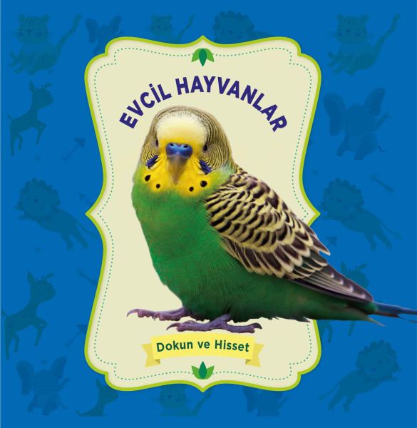 Evcil Hayvanlar - Dokun ve Hisset Evcil Hayvanlar - Dokun ve Hisset