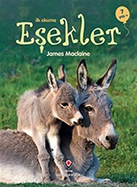 İlk Okuma - Eşekler İlk Okuma - Eşekler