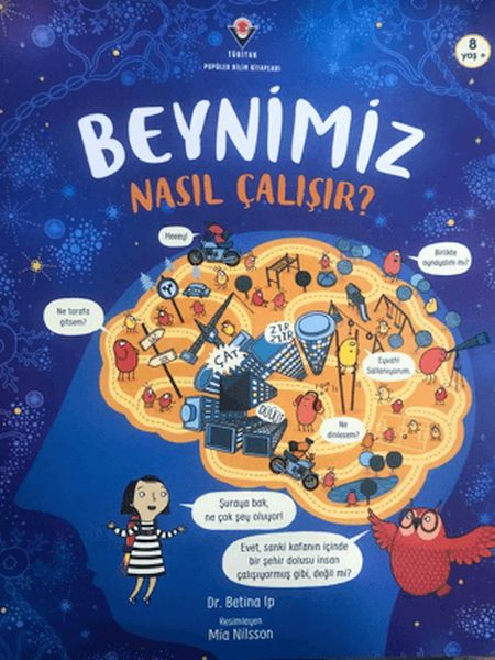 Beynimiz Nasıl Çalışır? Beynimiz Nasıl Çalışır?