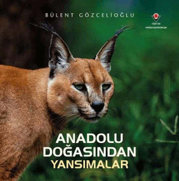 Anadolu Doğasından Yansımalar Anadolu Doğasından Yansımalar