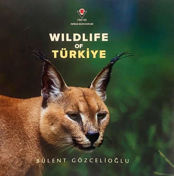 Wıldlıfe Of Türkiye Wıldlıfe Of Türkiye