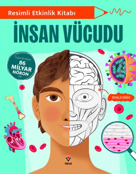 Resimli Etkinlik Kitabı - İnsan Vücudu