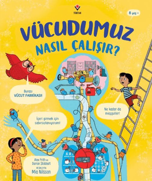 Vücudumuz Nasıl Çalışır? Vücudumuz Nasıl Çalışır?