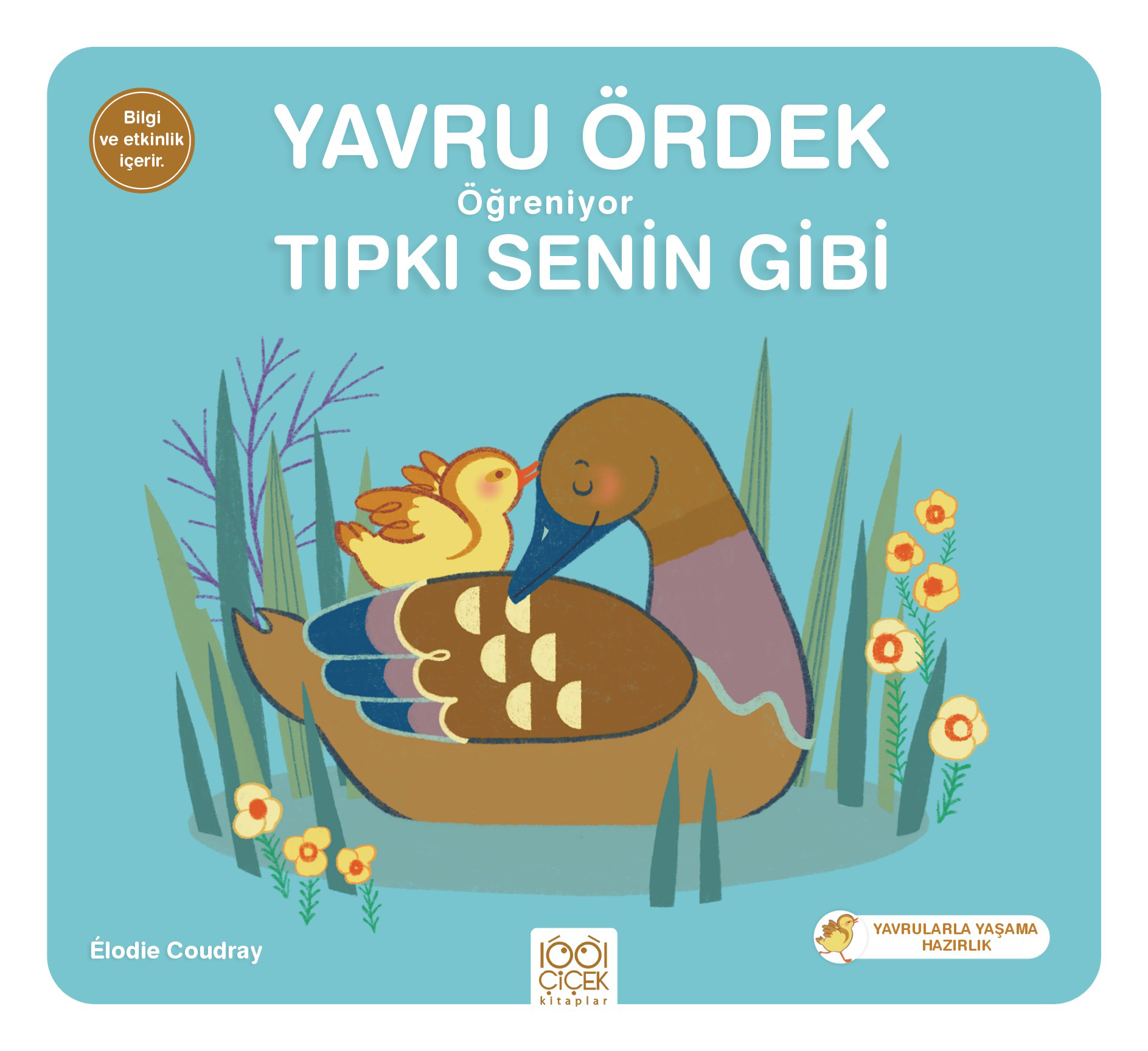 Yavru Ördek Öğreniyor Tıpkı Senin Gibi Yavru Ördek Öğreniyor Tıpkı Senin Gibi