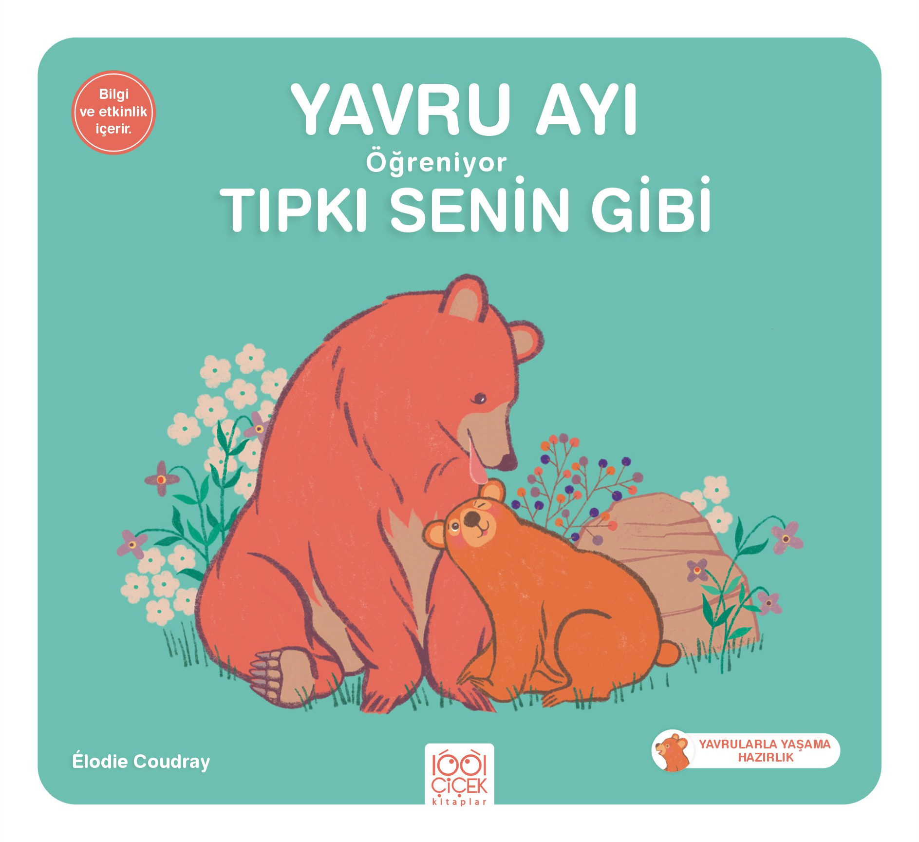 Yavru Ayı Öğreniyor Tıpkı Senin Gibi Yavru Ayı Öğreniyor Tıpkı Senin Gibi