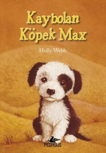 Kaybolan Köpek Max Kaybolan Köpek Max