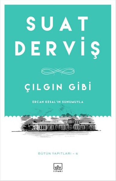 Çılgın Gibi Çılgın Gibi
