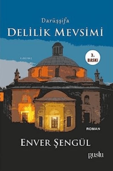 Darüşşifa - Delilik Mevsimi