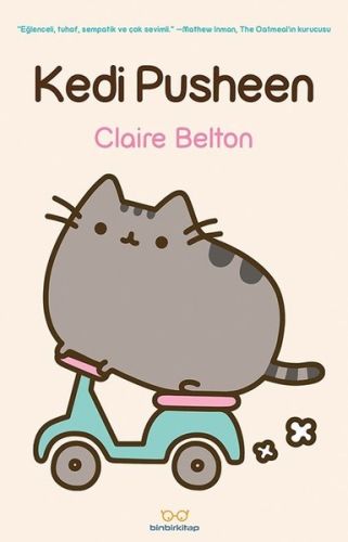 Kedi Pusheen Kedi Pusheen