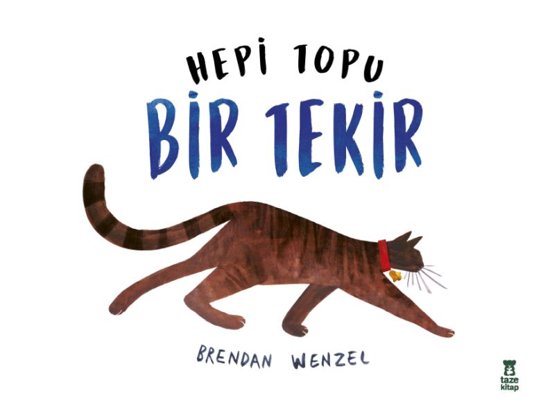 Hepi Topu Bir Tekir