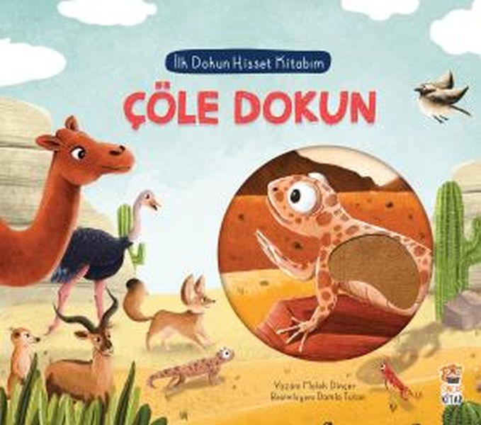 İlk Dokun Hisset Kitabım Çöle Dokun İlk Dokun Hisset Kitabım Çöle Dokun