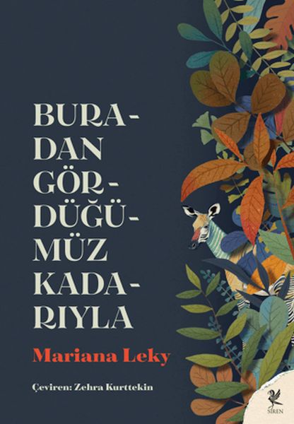 Buradan Gördüğümüz Kadarıyla Buradan Gördüğümüz Kadarıyla