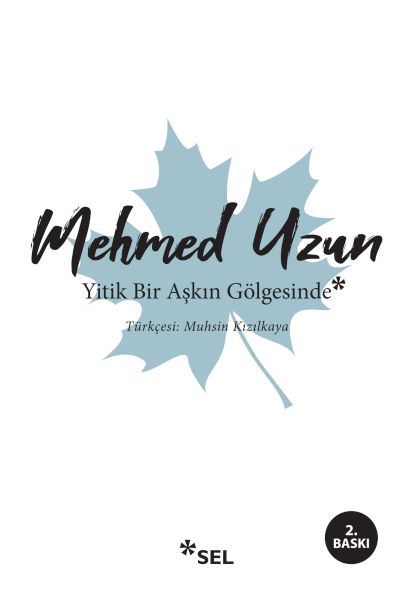 Yitik Bir Aşkın Gölgesinde Yitik Bir Aşkın Gölgesinde