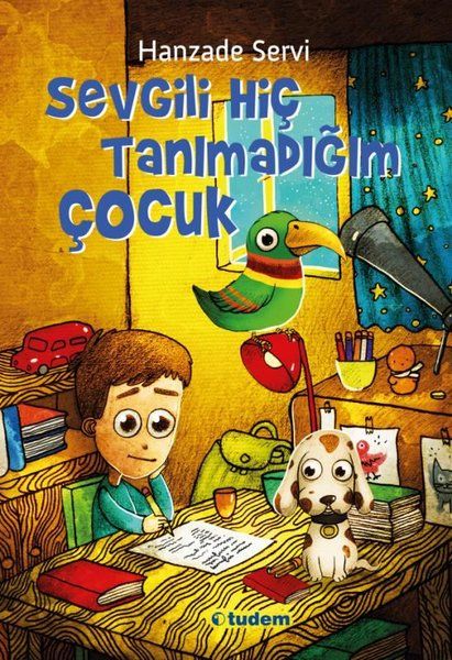 Sevgili Hiç Tanımadığım Çocuk Sevgili Hiç Tanımadığım Çocuk