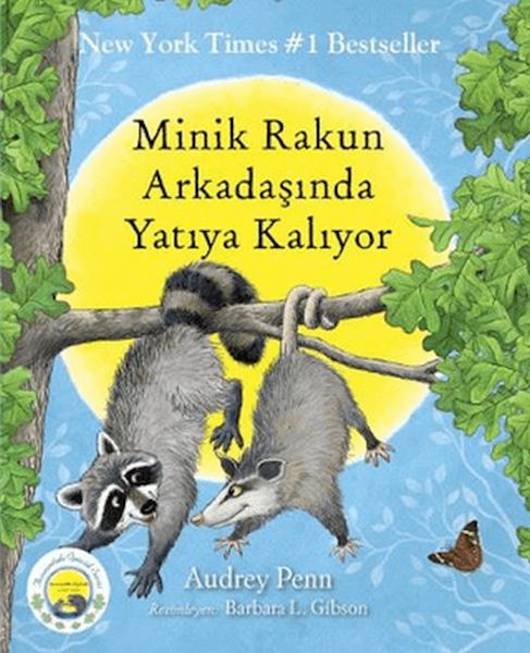 Minik Rakun Arkadaşında Yatıya Kalıyor Minik Rakun Arkadaşında Yatıya Kalıyor