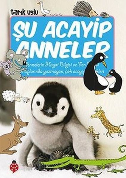 Şu Acayip Anneler Şu Acayip Anneler