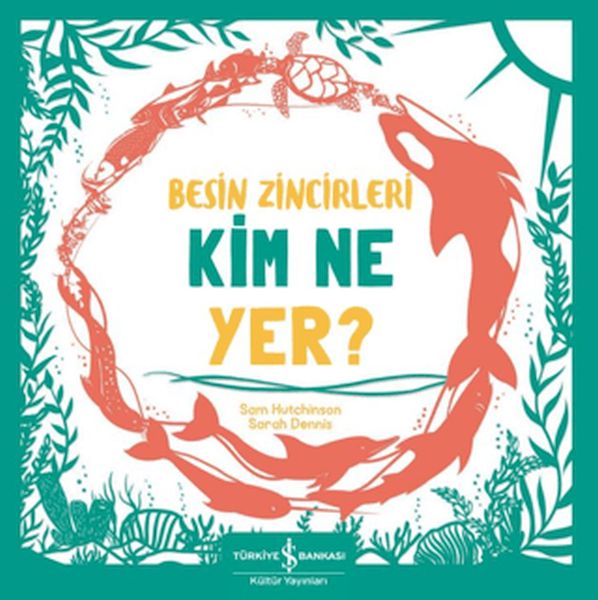 Besin Zincirleri Kim Ne Yer? Besin Zincirleri Kim Ne Yer?