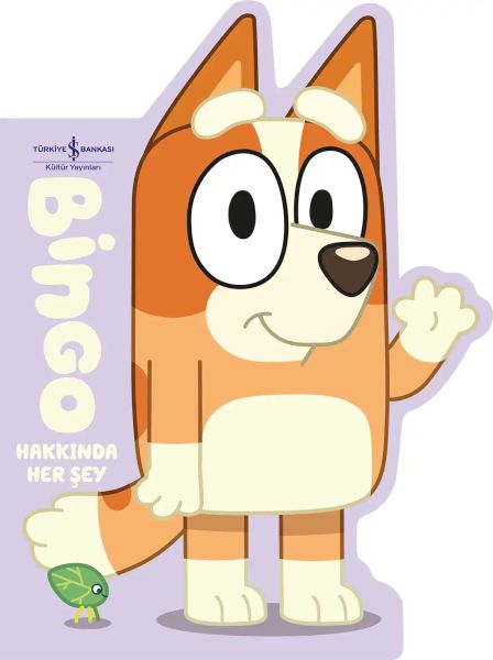 Bingo Hakkında Her Şey Bingo Hakkında Her Şey