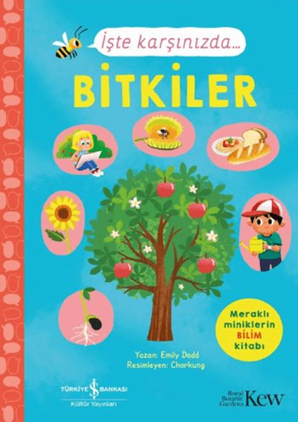 İşte Karşınızda...Bitkiler
