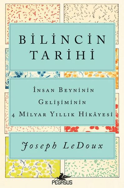 Bilincin Tarihi İnsan Beyninin Gelişiminin 4 Milyar Yıllık Hikayesi
