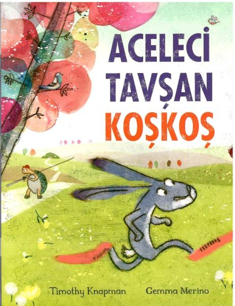 Aceleci Tavşan KoşKoş Aceleci Tavşan KoşKoş