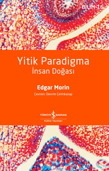 Yitik Paradigma İnsan Doğası