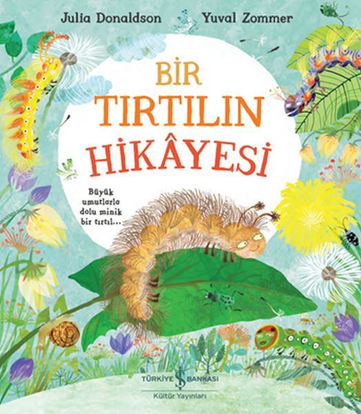 Bir Tırtılın Hikayesi Bir Tırtılın Hikayesi