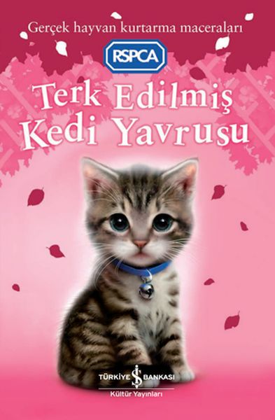 Terk Edilmiş Kedi Yavrusu Terk Edilmiş Kedi Yavrusu