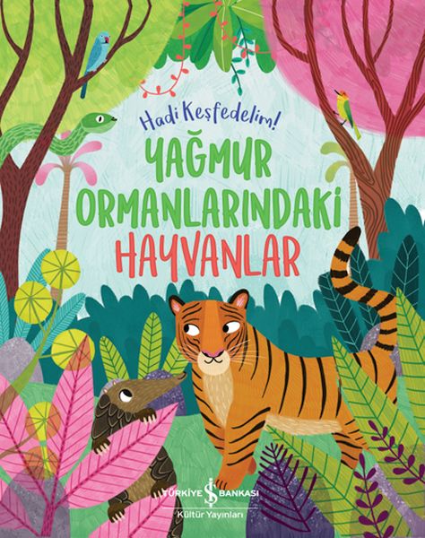 Yağmur Ormanlarındaki Hayvanlar – Hadi Keşfedelim! Yağmur Ormanlarındaki Hayvanlar – Hadi Keşfedelim!