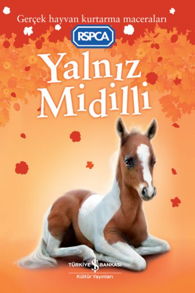 Yalnız Midilli Yalnız Midilli