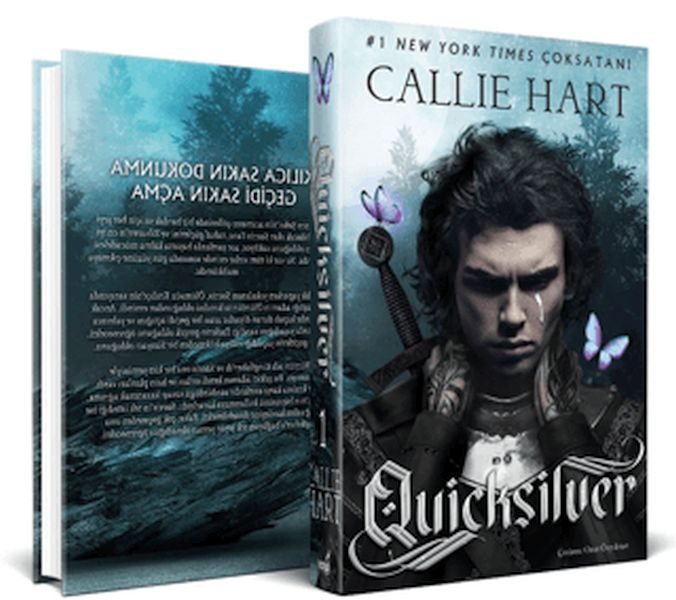 Ouicksilver (Ciltli) Ouicksilver (Ciltli)