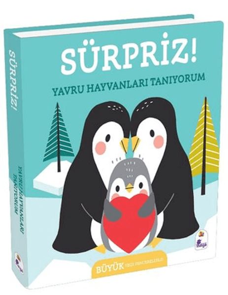 Sürpriz! - Yavru Hayvanları Tanıyorum